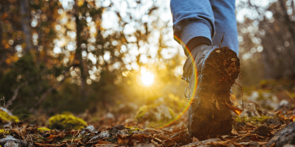 Glükosamiin – liigeste toetaja, mis aitab hoida sind liikuvana