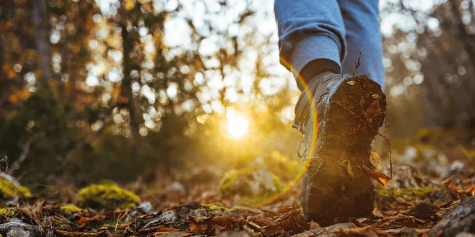 Glükosamiin – liigeste toetaja, mis aitab hoida sind liikuvana