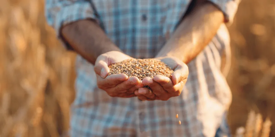 Kiududes peituv vägi