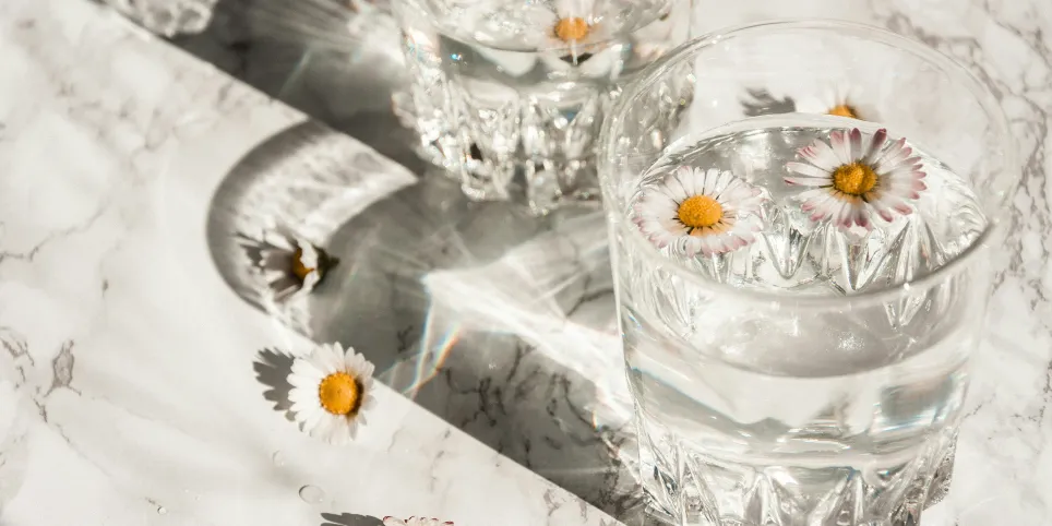 Paastumine ja puhastumine