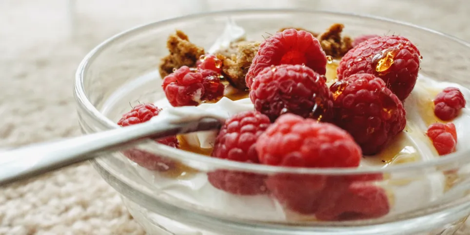 Piimhappebakterid – looduslik tugi sinu seedimisele ja immuunsusele