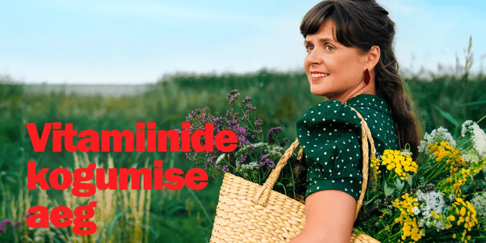 Vitamiinide kogumise aeg