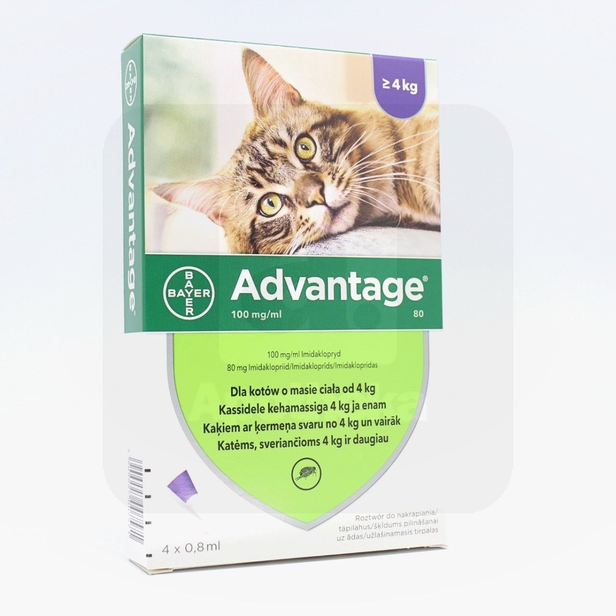 Advantage täpilahus kassile 100 ml/0,8 ml 4 tk