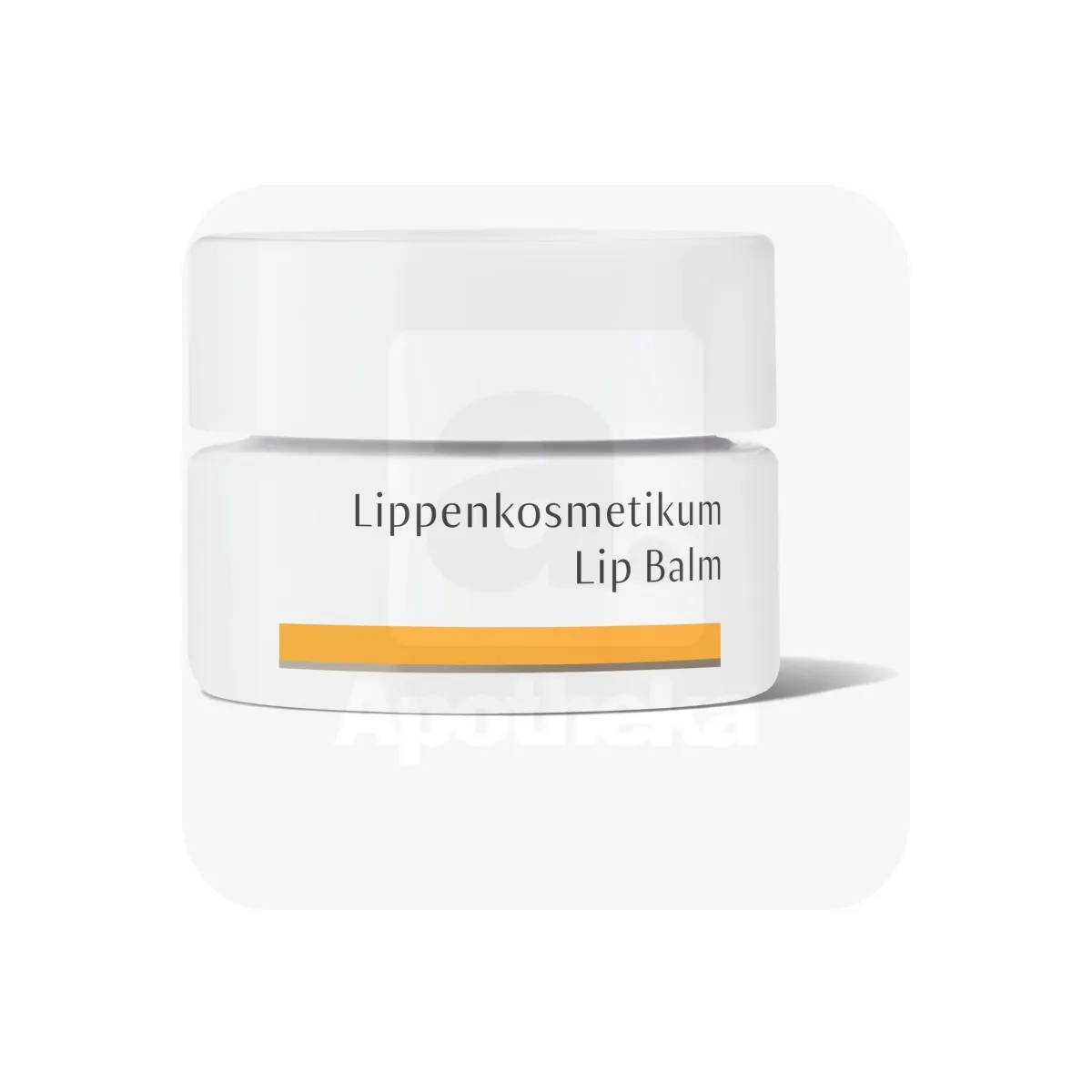 DR.HAUSCHKA TAASTAV HUULEPALSAM 4,5G - Tootepilt