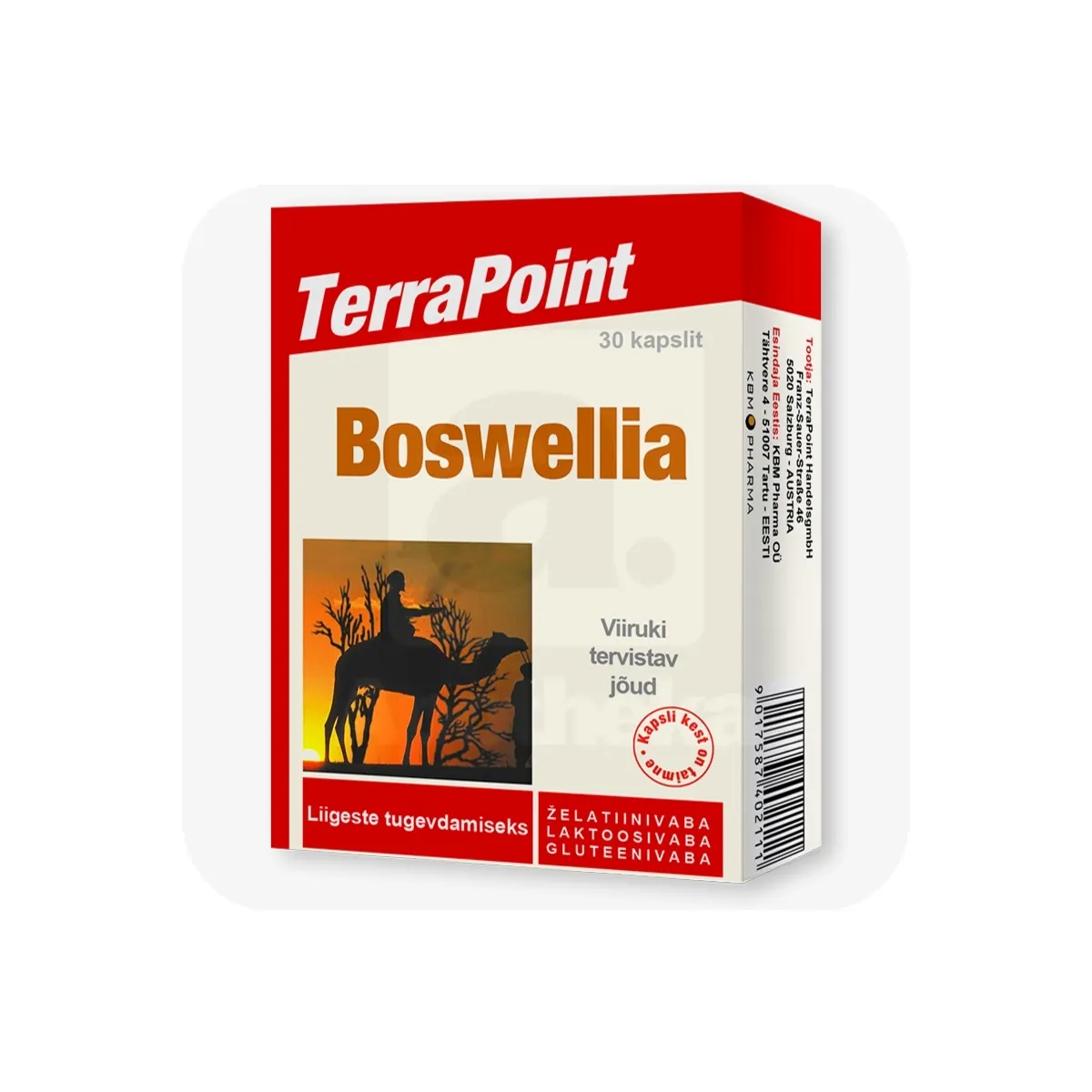 TERRAPOINT BOSWELLIA CAPS N30 - Tootepilt