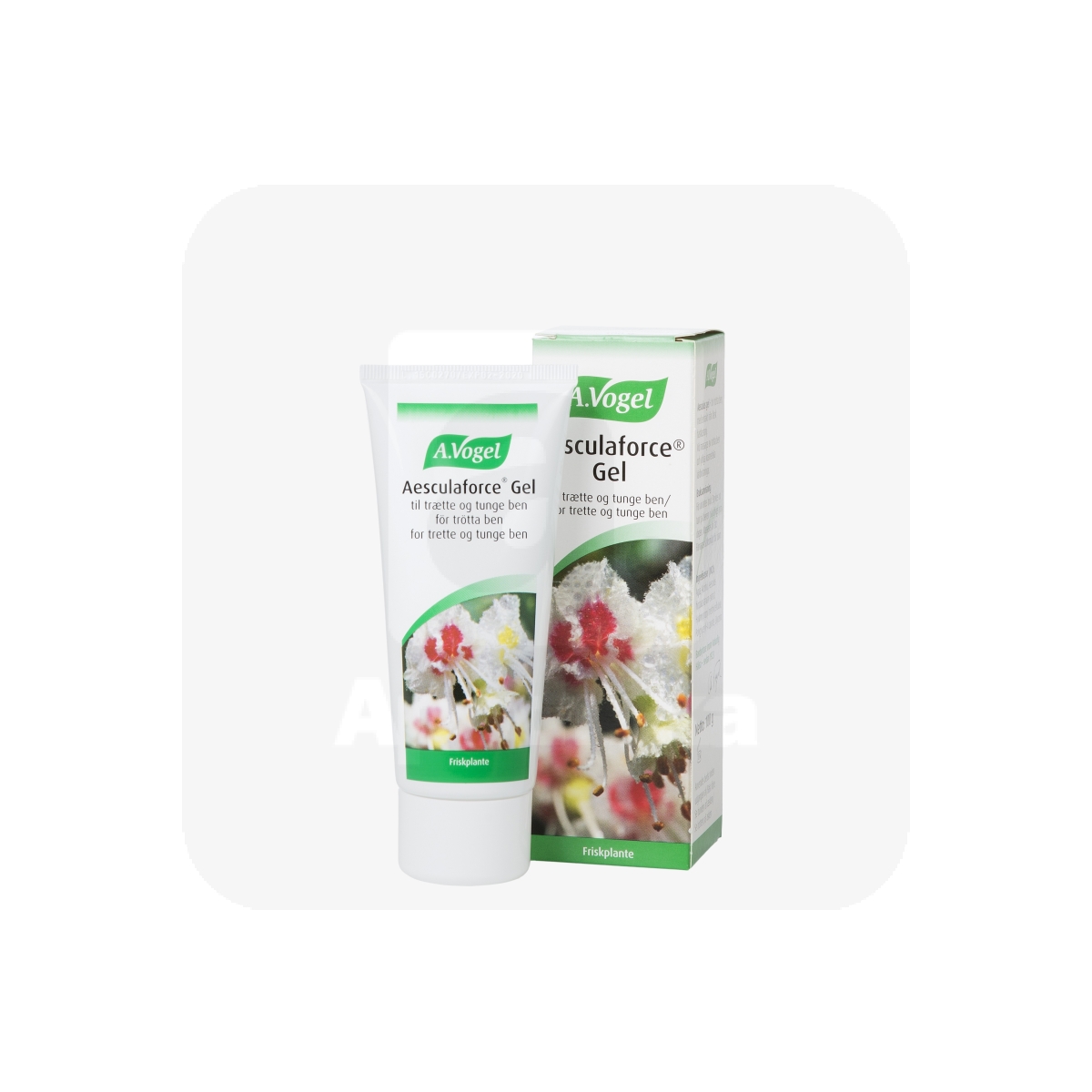 A.VOGEL AESCULUS GEL (HOBUKASTANIGEEL) 100G - Tootepilt