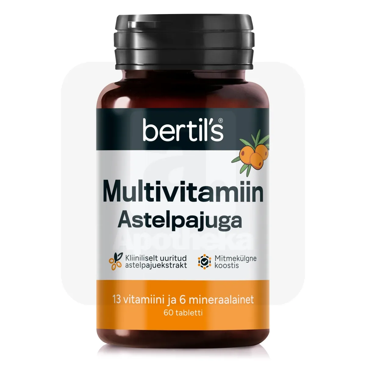BERTILS MULTIVITAMIIN ASTELPAJUGA TBL N60 - Tootepilt