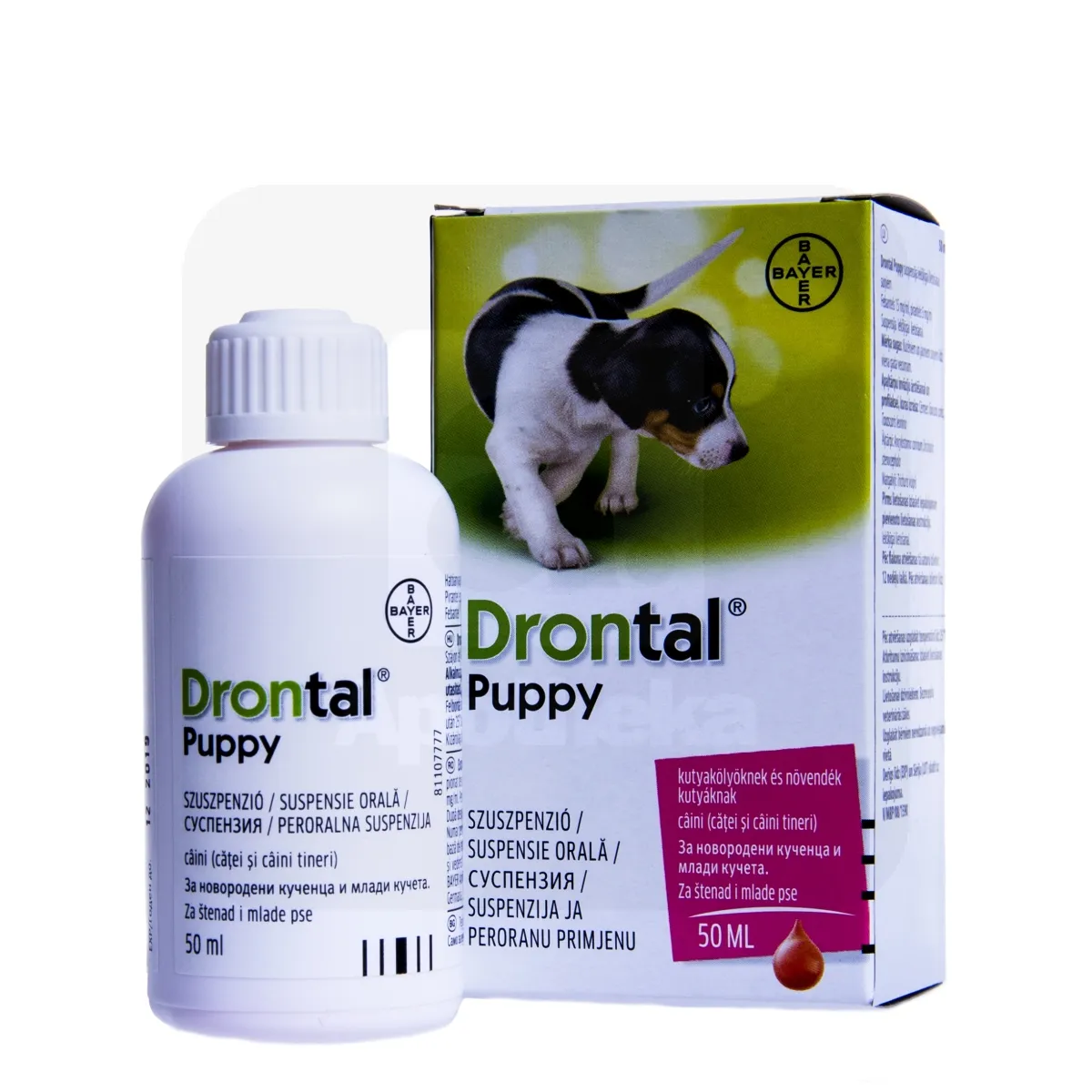 DRONTAL PUPPY SUUK. SUSP 15MG+5MG/1ML 50ML N1 - Tootepilt