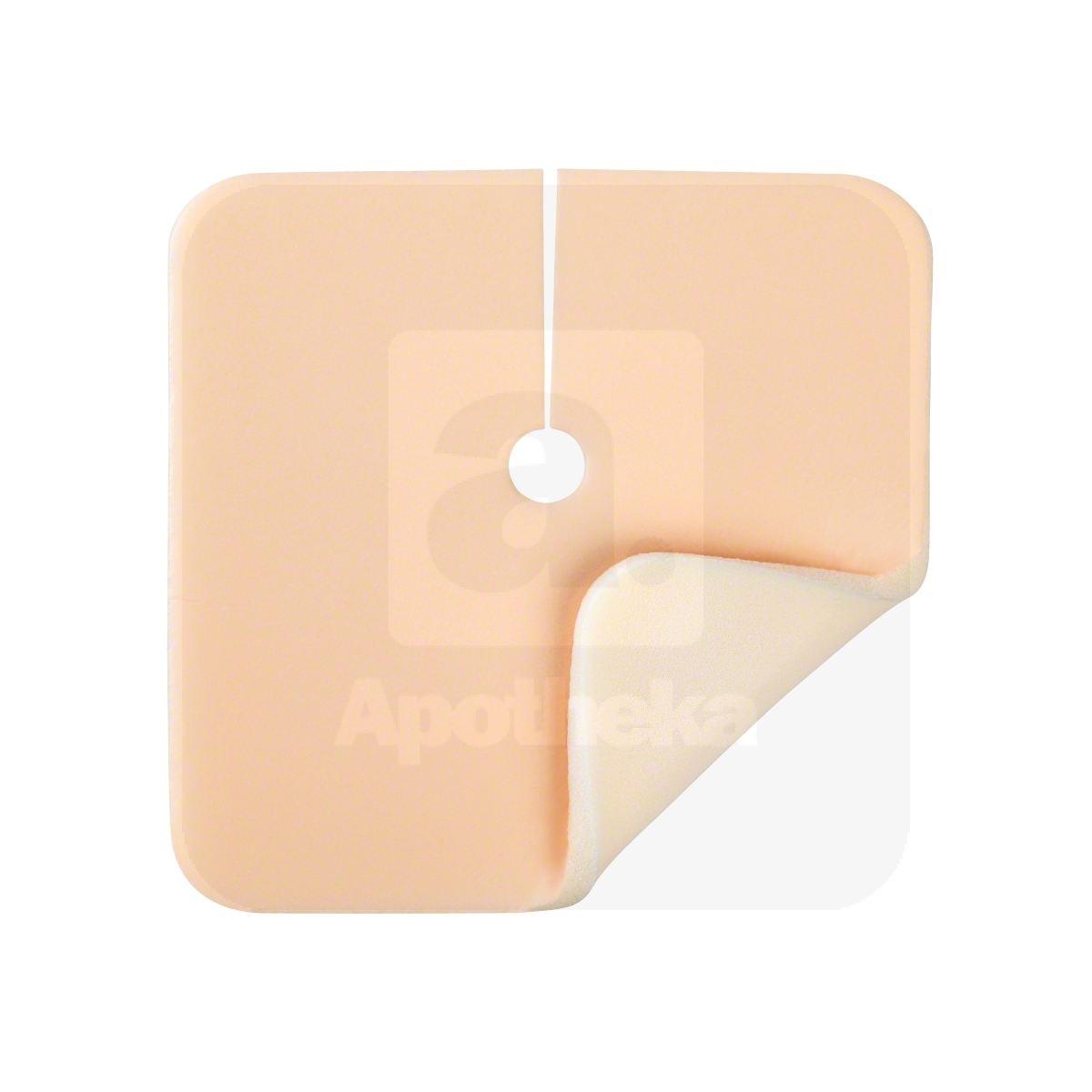 ASKINA TRACHEA 9,5X8,5CM N10 - Tootepilt