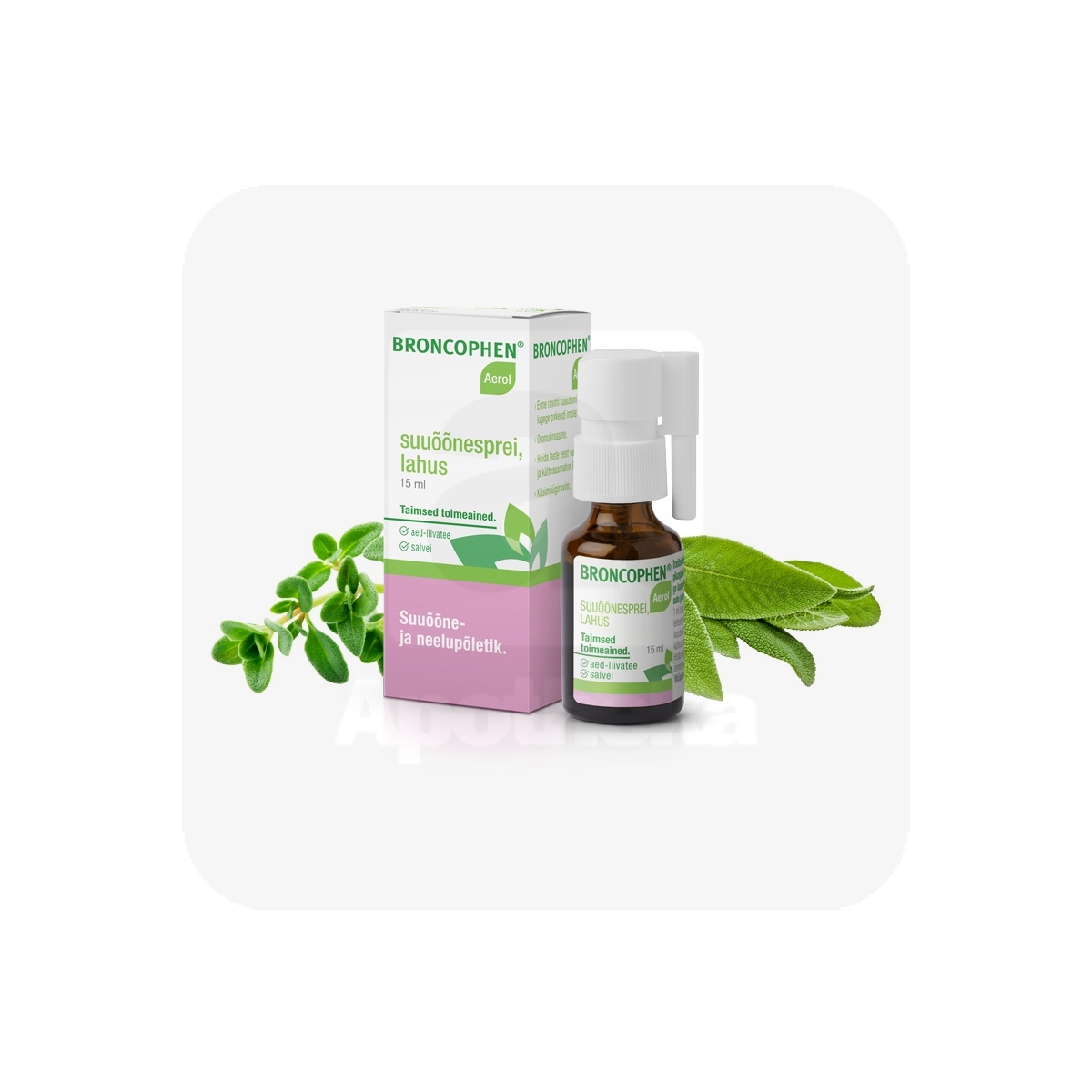 BRONCOPHEN AEROL SUUÕÕNESPREI 290MG+290MG 15ML - Tootepilt