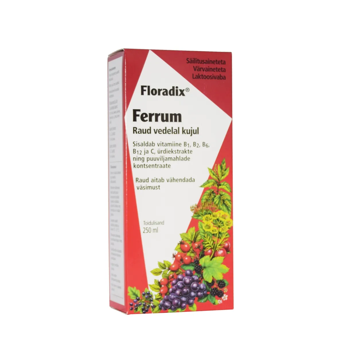 SALUS FLORADIX RAUD ÜRDI-MAHLAKONTSENTRAAT 250ML - Tootepilt