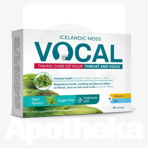 VOCAL MINT IMEMISTABLETID HÜALUROONHAPPEGA N24