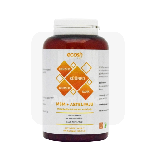 ECOSH MSM+ASTELPAJU KAPSLID 500MG N160