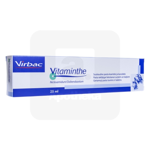 VITAMINTHE SUUKAUDNE PASTA 0,24G+0,03G/1ML 25ML N1