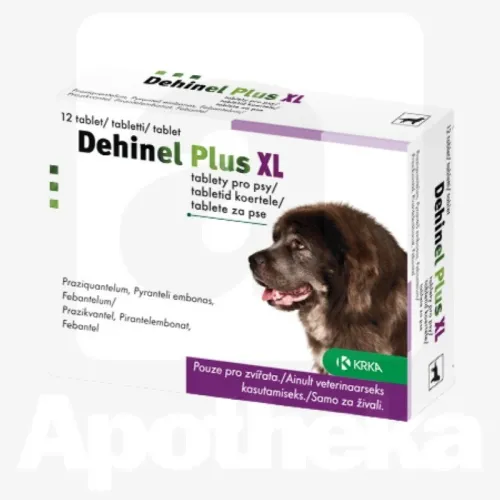 DEHINEL PLUS XL TABL 175MG+525MG+504MG N12