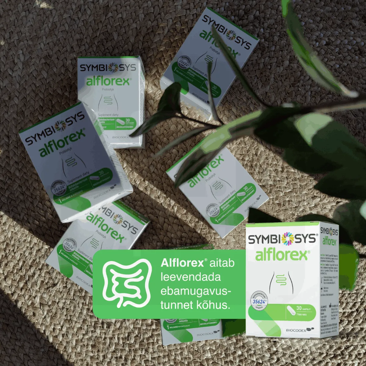 SYMBIOSYS ALFLOREX KAPSLID N15 - Tootepilt 5