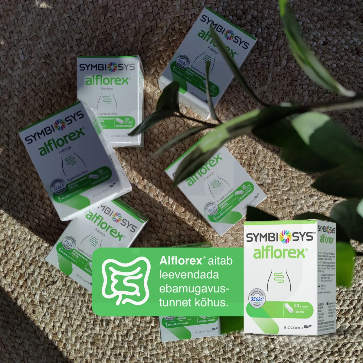 SYMBIOSYS ALFLOREX KAPSLID N30 - Tootepilt 5