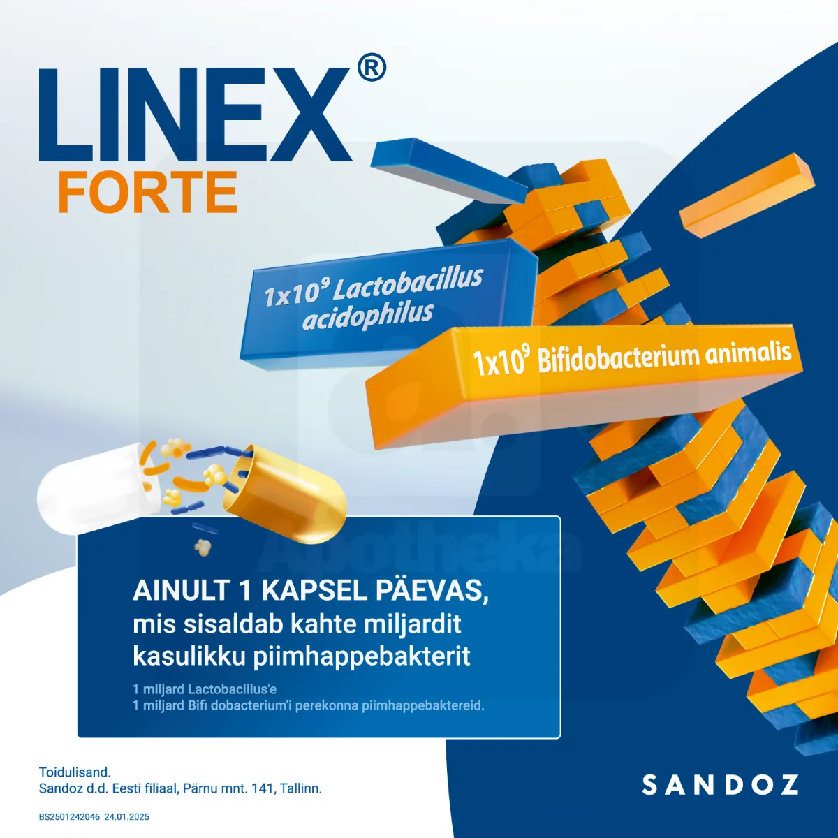 LINEX FORTE KAPSLID N14 - Tootepilt 3