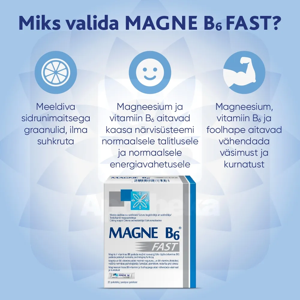 MAGNE B6 FAST N20 - Tootepilt 2
