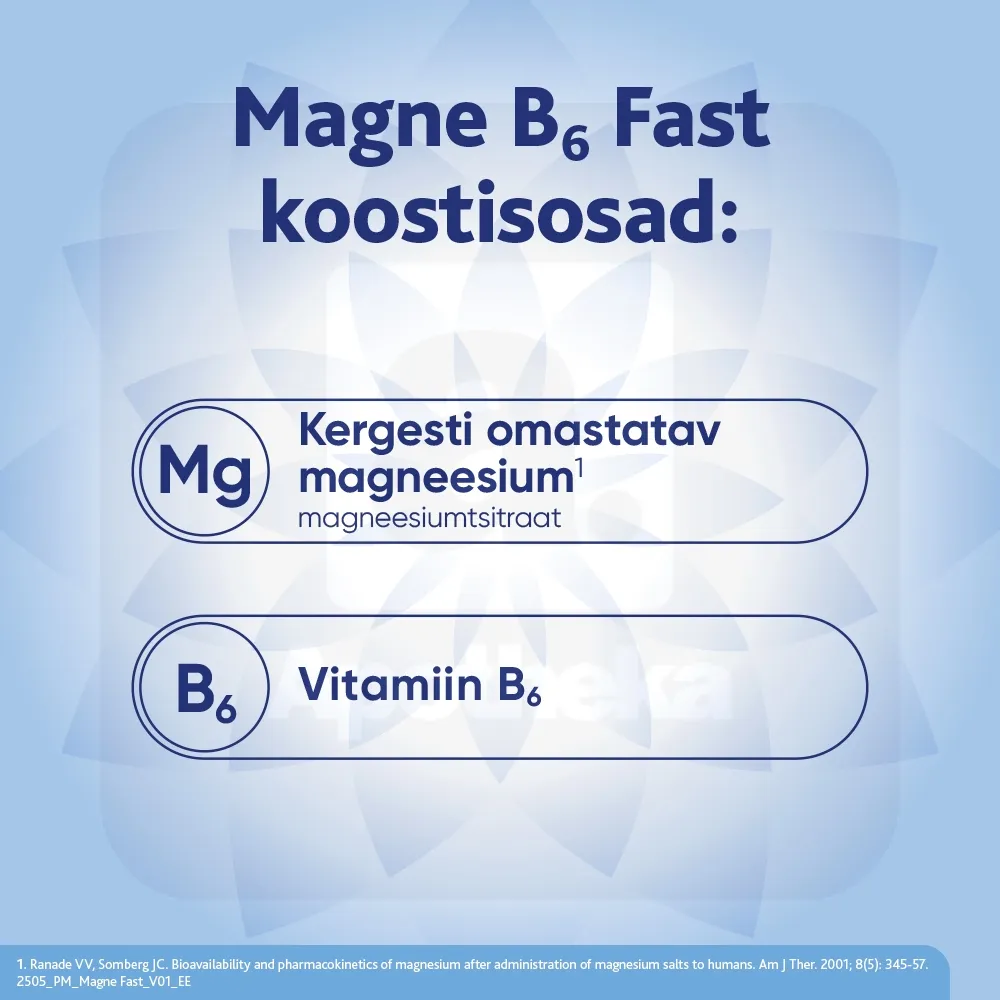 MAGNE B6 FAST N20 - Tootepilt 3