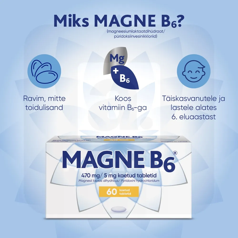 MAGNE B6 KAETUD TBL 5MG+470MG N60 - Tootepilt 4