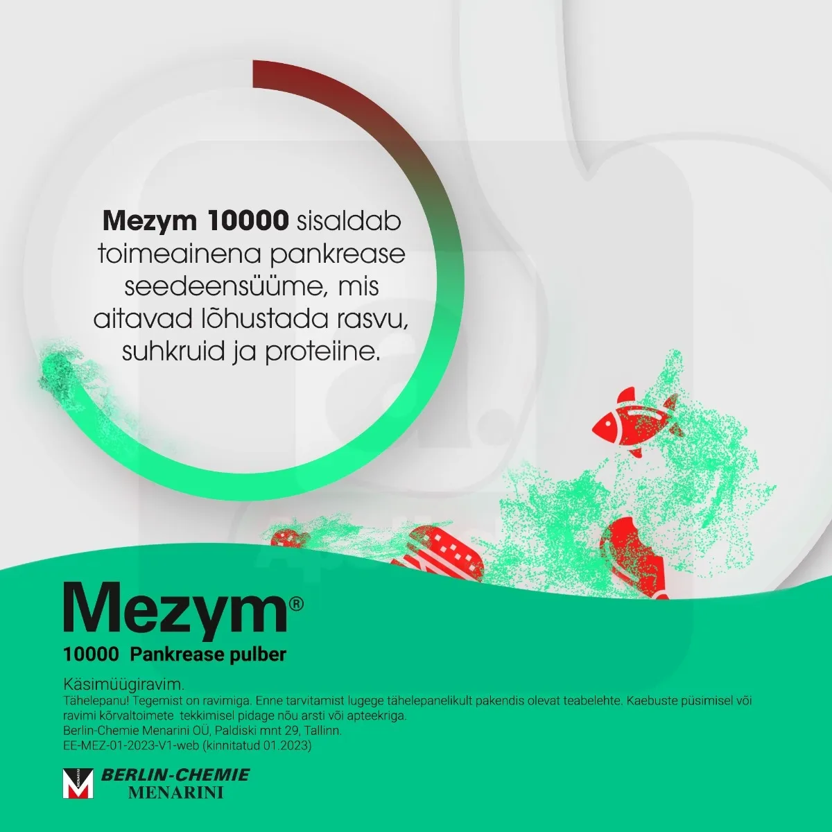 MEZYM 10 000 TBL 10000+7500+375TÜ N10 GASTRORESISTENTNE - Tootepilt 4