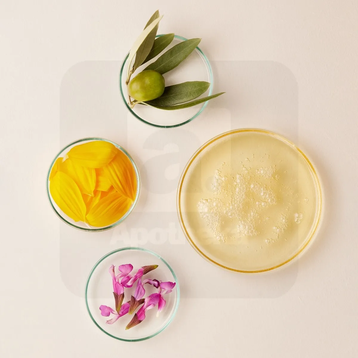 ISDIN NÄOPUHASTUSÕLI 200ML - Tootepilt 5