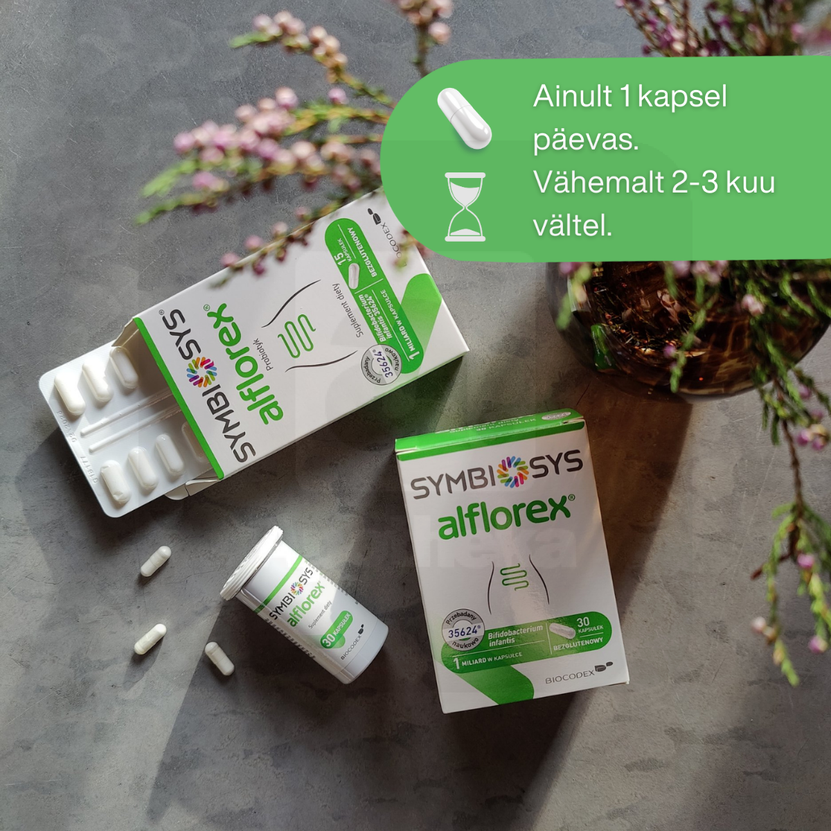 SYMBIOSYS ALFLOREX KAPSLID N30 - Tootepilt 4