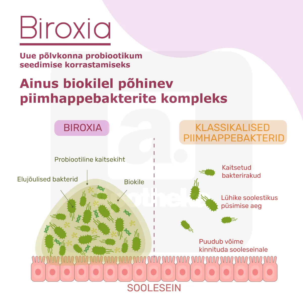 BIROXIA KAPSLID N15 - Tootepilt 3
