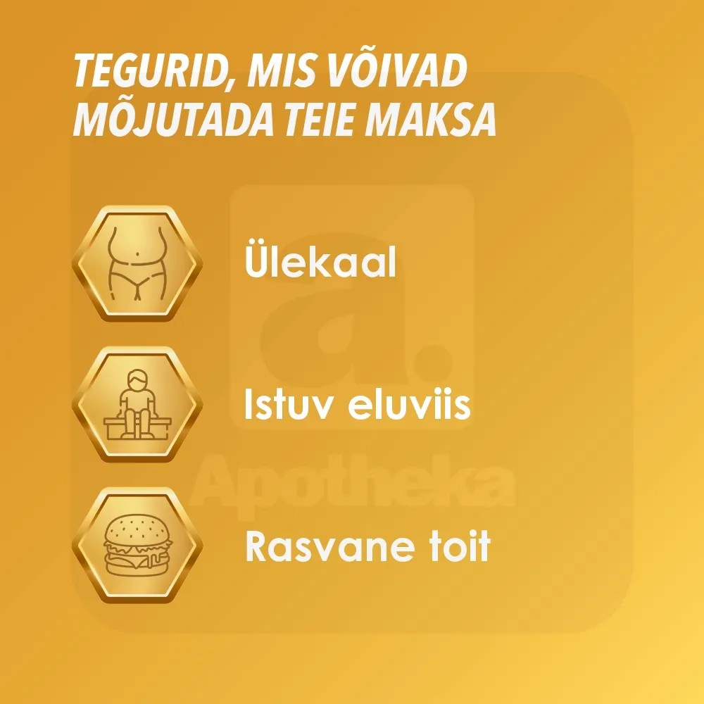 ESSENTIALE FORTE N CAPS 600MG N30 - Tootepilt 3