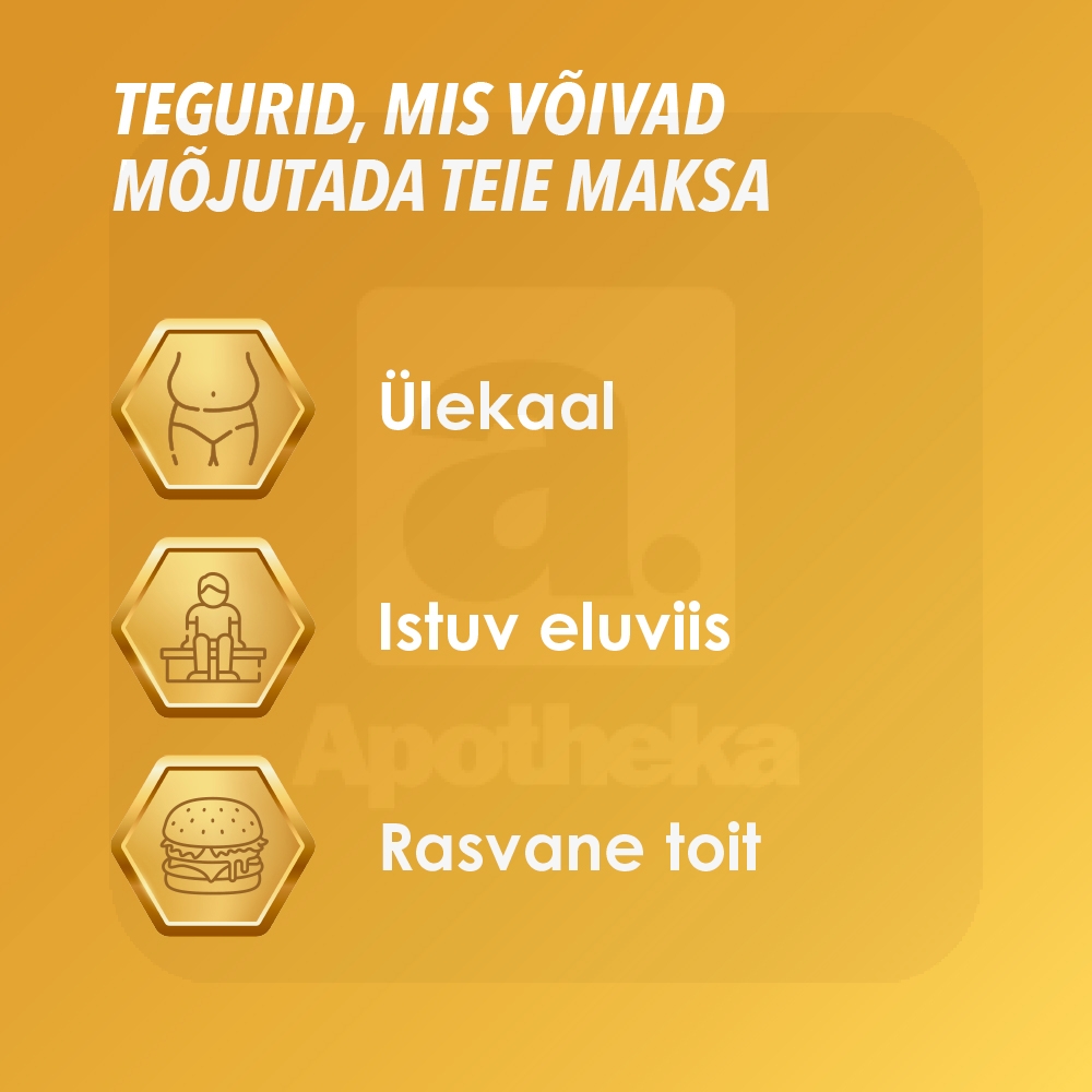 ESSENTIALE FORTE N CAPS 300MG N90 - Tootepilt 2