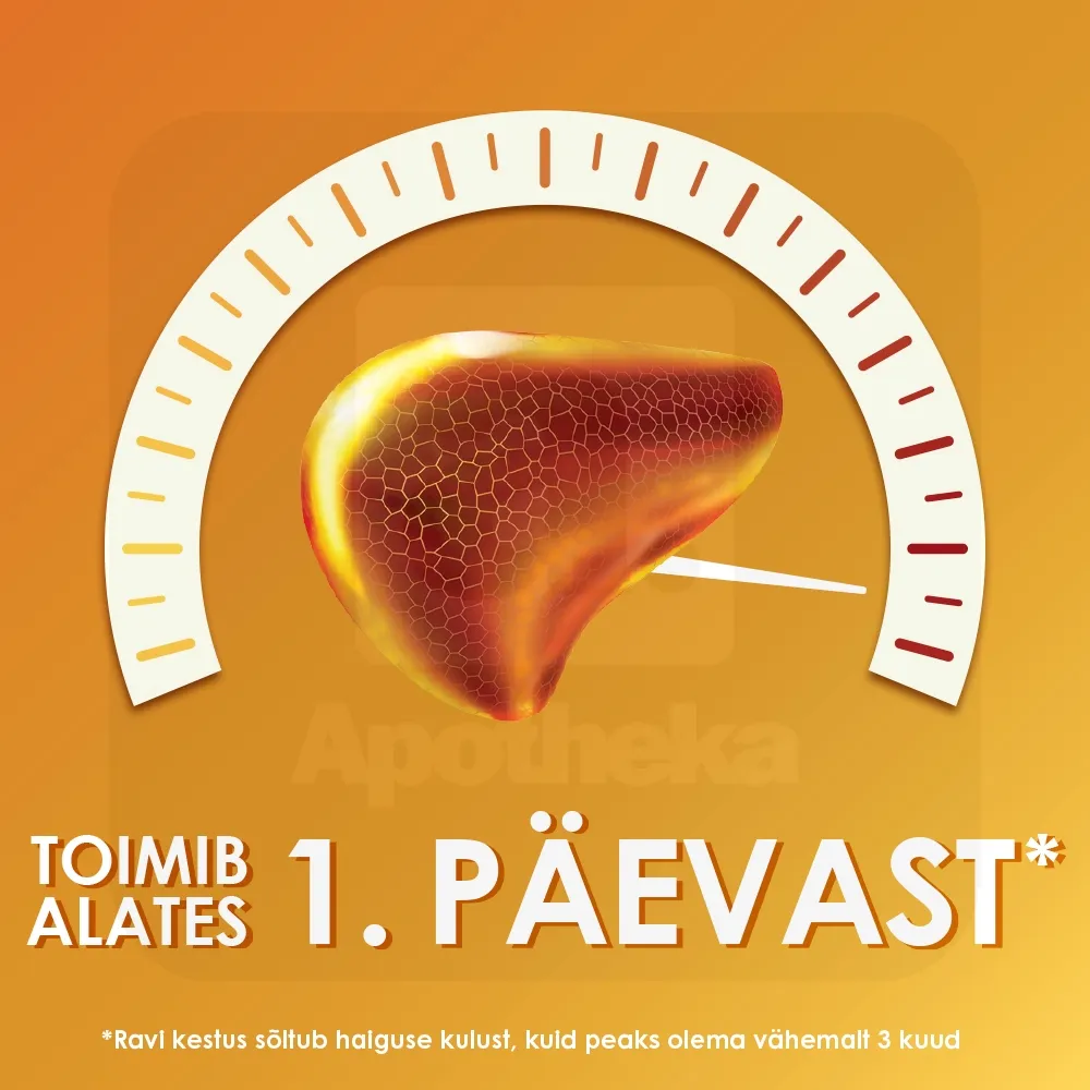 ESSENTIALE FORTE N CAPS 300MG N100 - Tootepilt 3