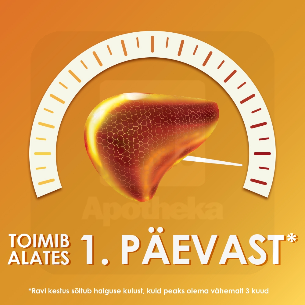 ESSENTIALE FORTE N CAPS 300MG N90 - Tootepilt 3