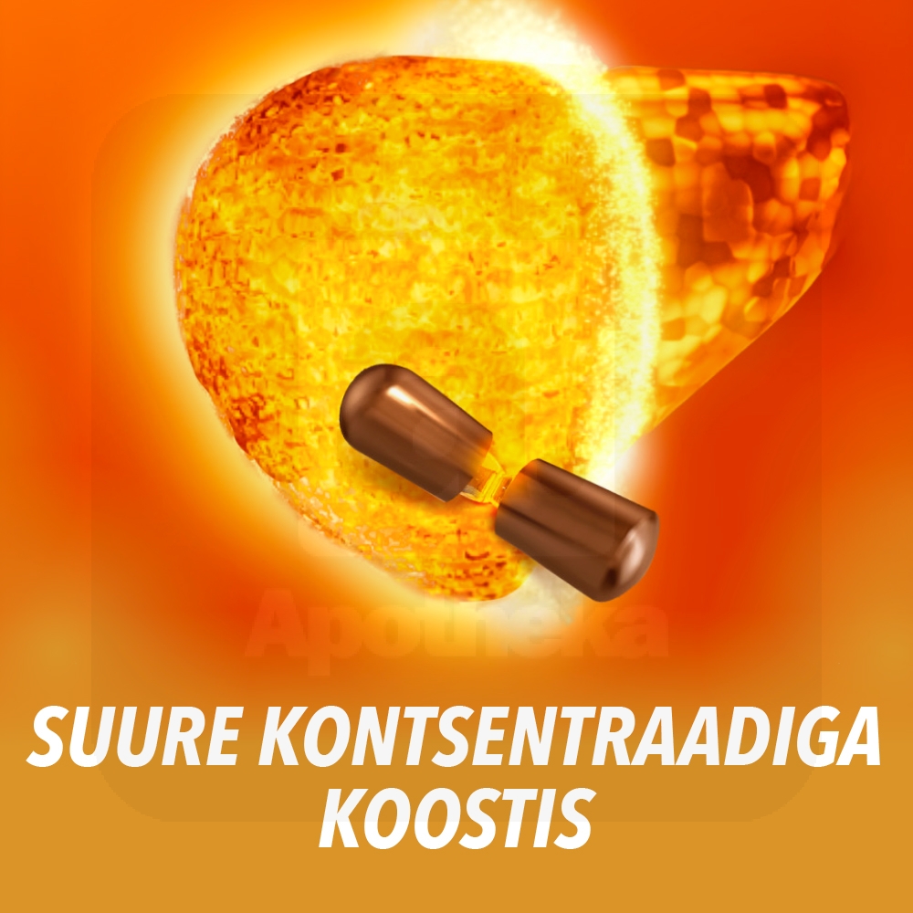 ESSENTIALE FORTE N CAPS 300MG N30 - Tootepilt 4