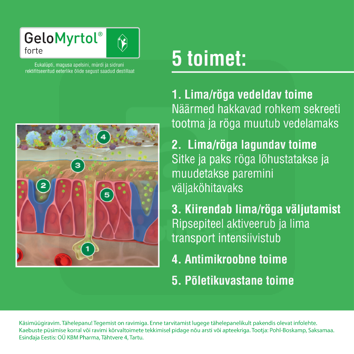 GELOMYRTOL FORTE GASTRORESIST KAPSEL 300MG N20 - Tootepilt 3