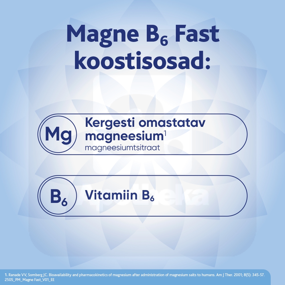 MAGNE B6 FAST N20 - Tootepilt 3