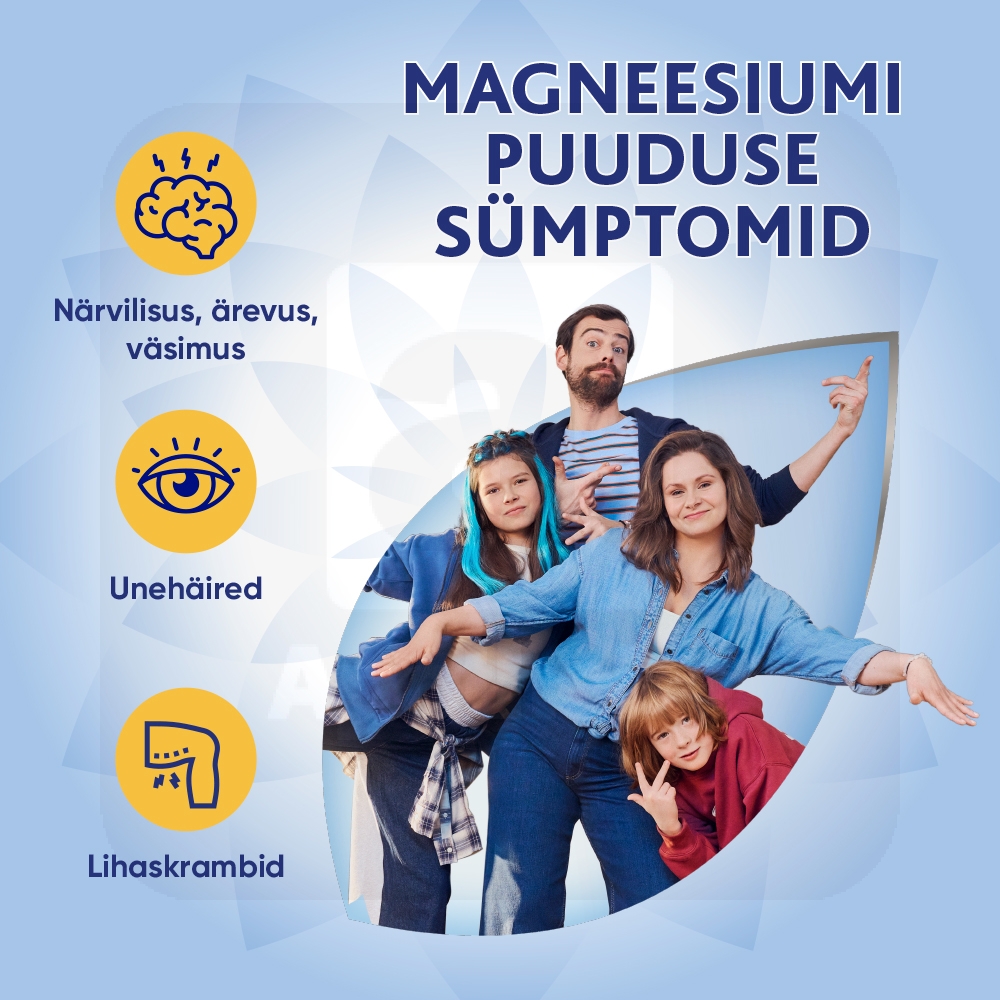 MAGNE B6 KAETUD TBL 5MG+470MG N60 - Tootepilt 2