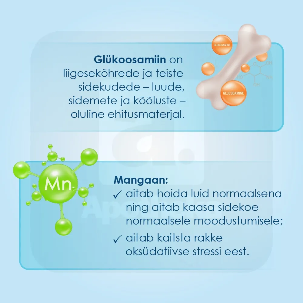 PROENZI ARTHROSTOP PLUS TBL N100 - Tootepilt 3