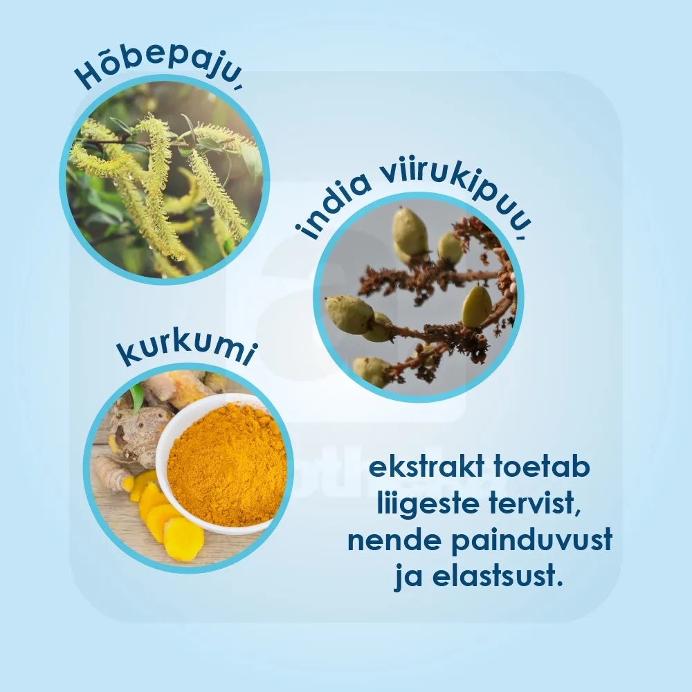 PROENZI ARTHROSTOP INTENSIVE TBL N30 - Tootepilt 3