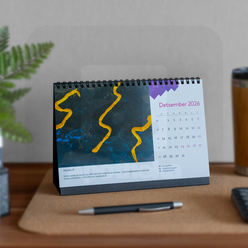 RÕÕM LAUAKALENDER 2026 - Tootepilt 14
