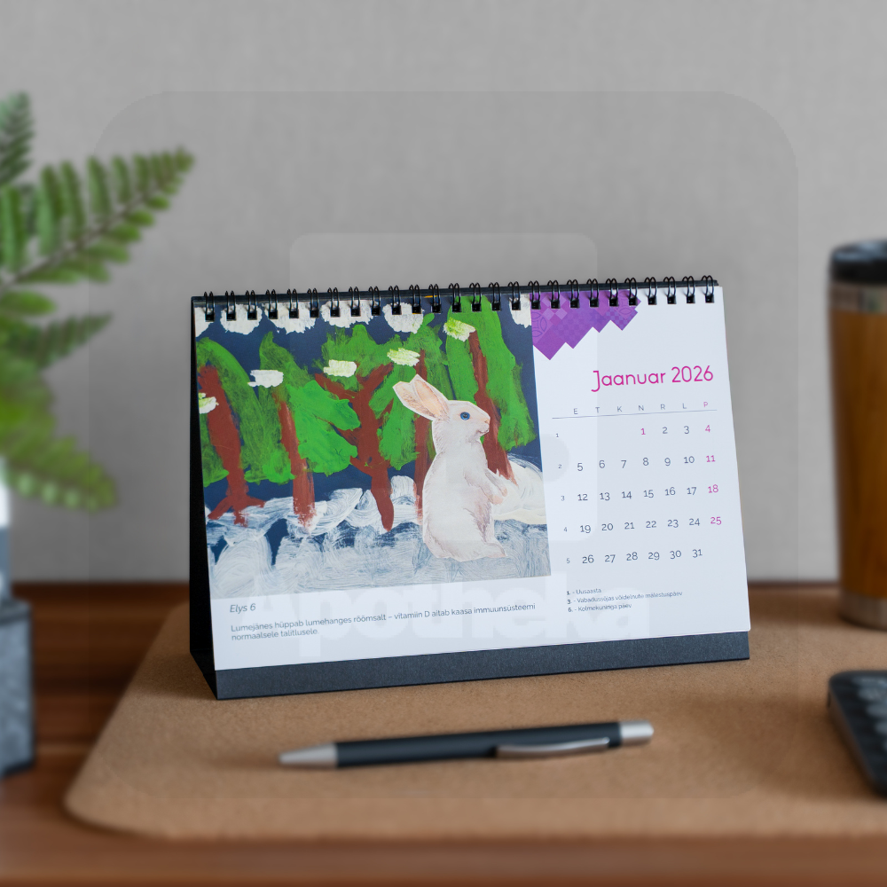 RÕÕM LAUAKALENDER 2026 - Tootepilt 3