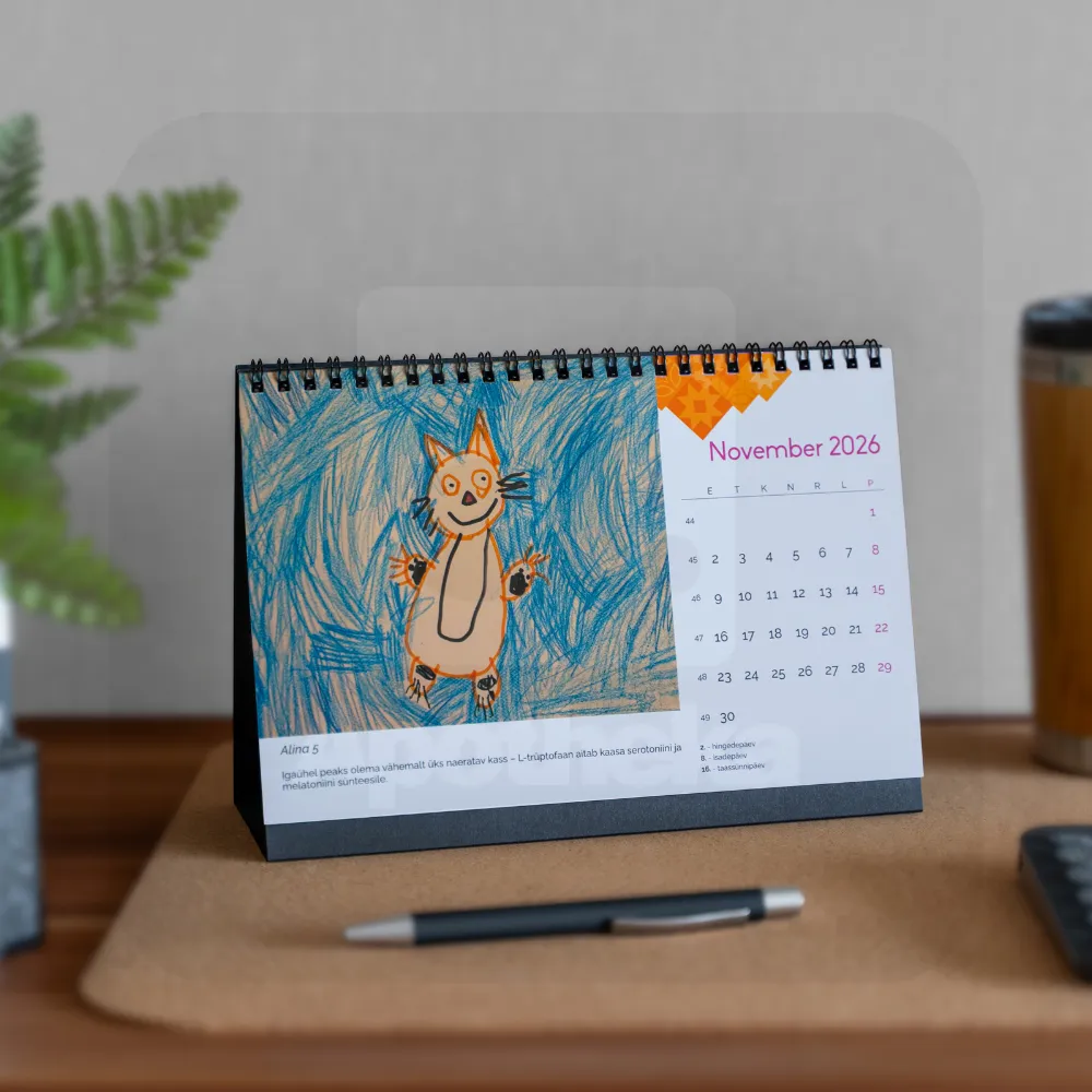RÕÕM LAUAKALENDER 2026 - Tootepilt 13