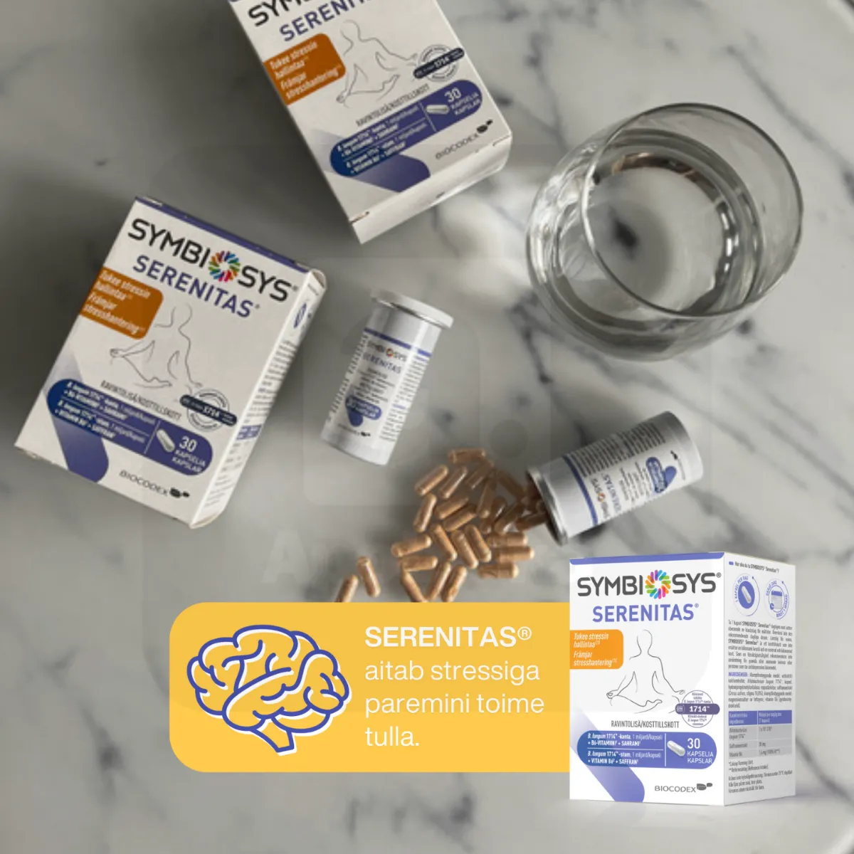 SYMBIOSYS SERENITAS KAPSLID N30 - Tootepilt 5