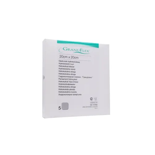 GRANUFLEX PLAASTER 20X20CM N5 - Tootepilt 