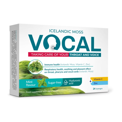 Product image of VOCAL MINT IMEMISTABLETID HÜALUROONHAPPEGA N24