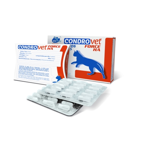 Bioiberica Condrovet Force HA kapslid kassidele, N45 - Tootepilt 