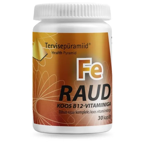 Product image of TERVISEPÜRAMIID RAUD KOOS B12 VITAMIINIGA KAPSLID N30