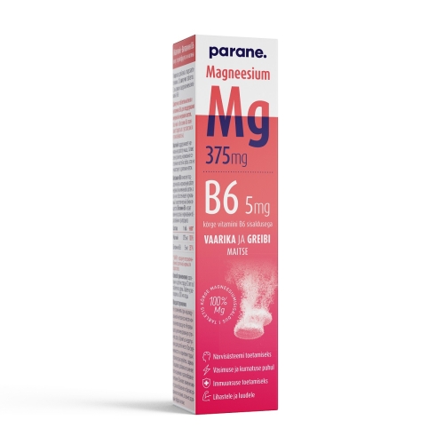 Product image of MAGNEESIUM 375MG+B6 5MG N20
