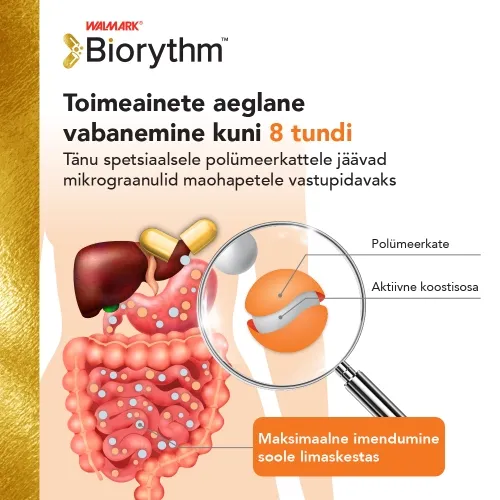 WALMARK BIORYTHM TSINK KAPSLID N30 - Tootepilt 2