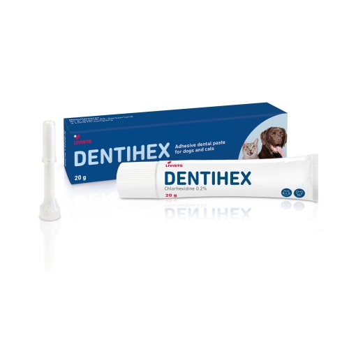 HAMBAPASTA DENTIHEX 20G - Tootepilt 
